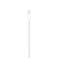 USB-A oplader Lightning kabel 1m - MMR ApS
