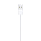 USB-A oplader Lightning kabel 1m - MMR ApS